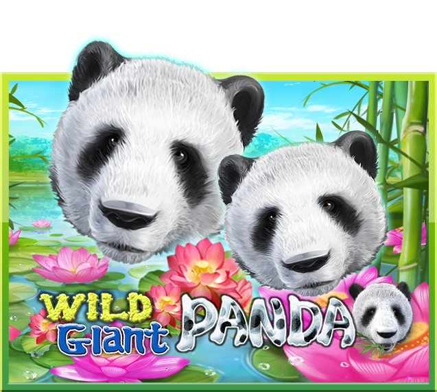 Wild Giant Panda